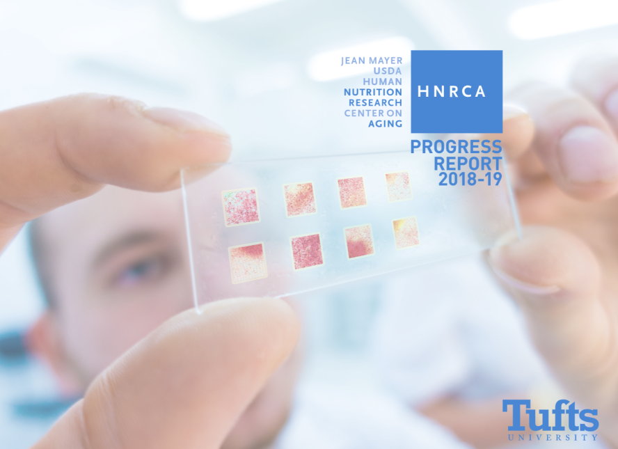 Report cover showing man examining research slides