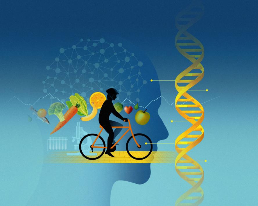 Illustration depicting healthy older adult riding a bicycle