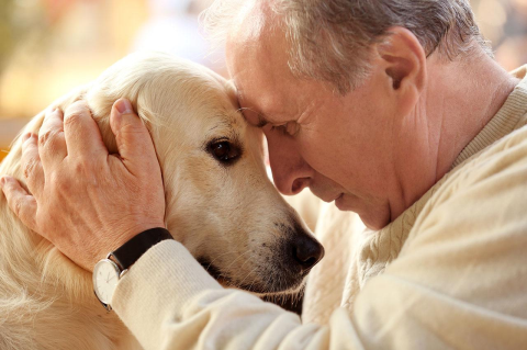 An older man in a tan sweater hugs his senior dog